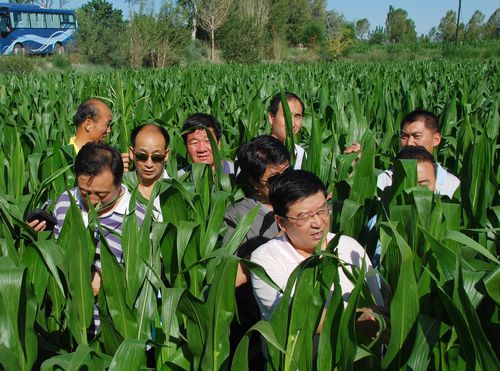 相互交流取長補短 共同學習穩(wěn)步提高---敦煌種業(yè)組織中高層管理人員赴種子企業(yè)交流觀摩